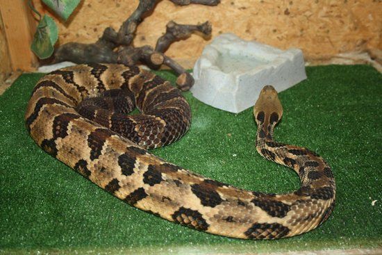 Museum of Natural History